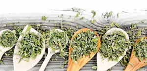 Dry herbs the easy way—see my top 5 dehydrators and grab the free herb-drying eBook!