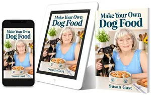 Meet Chicken Chow-Chow and Bow Wow Beefy Chow, learn how I prepared Minnie’s meals, and discover what to consider before feeding homemade dog food daily.