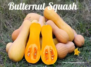 Learn how to dehydrate butternut squash the easy way—fresh or frozen—for storage, soup, or even dog food!