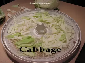 Shredded cabbage spread across a round Nesco dehydrator tray before drying.