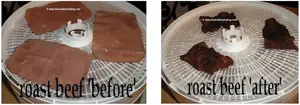 Dehydrate beef using pre-cooked roast slices—perfect for snacks, storage, or jerky. Step-by-step guide + recipe!