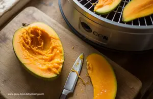 Learn how to dehydrate mango at home with simple steps for delicious, healthy dried mango snacks. Easy guide!