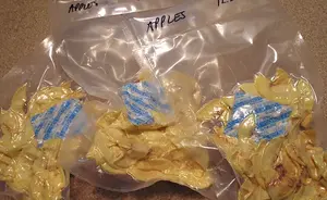 See which oxygen absorber sizes fit jars, Mylar bags, and buckets. Use the quick chart to keep food safe and fresh.