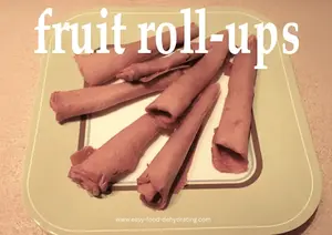 Make fruit rolls with fresh, frozen, or canned fruit. Dry at 135–140°F for chewy, kid-approved leathers.