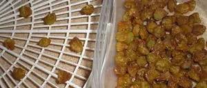 Learn fruit dehydration basics and find guides for apples, bananas, strawberries, and more.