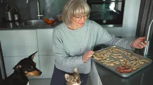 Golden retriever and tabby cat on kitchen floor near a tray of homemade dehydrated pet treats