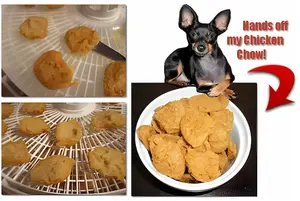 Dehydrate homemade pet food for travel or daily use. Safe temps, storage tips, and DIY Chicken Chow recipe.
