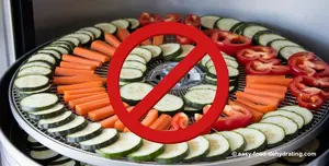 Overloaded dehydrator tray
