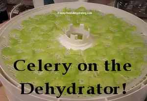 Discover how many vegetables fill a dehydrator with our tray-by-tray guide for fresh and frozen produce.