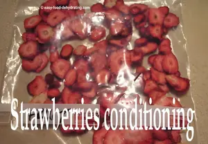 Simple steps to condition dehydrated fruits and vegetables: balance moisture, avoid mold, and store with confidence.