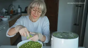 Woman wearing latex gloves while handling frozen peas, preparing them for drying in a white round food dehydrator.