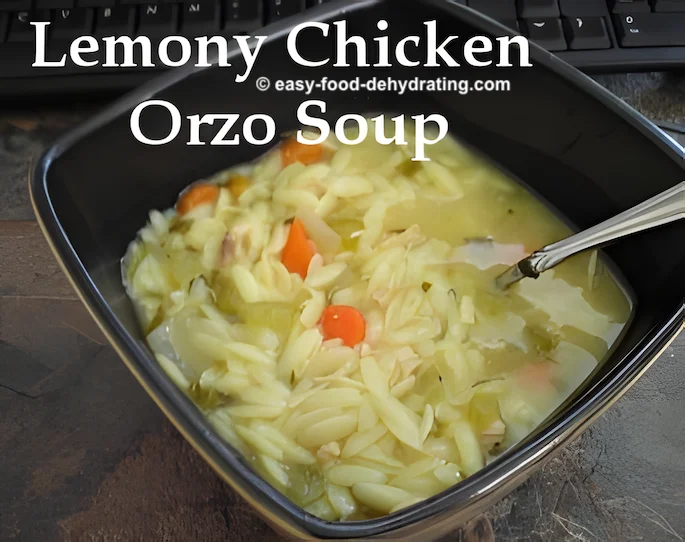Lemony Chicken Orzo soup, in a square bowl with a spoon