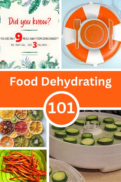 Pinterest Food Dehydrating 101