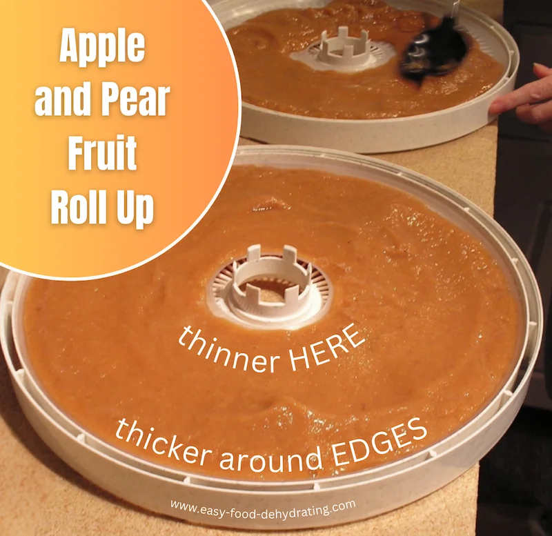 fruit roll mixture spread out on solid dehydrator sheets