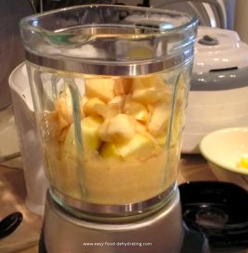 Apple and pear fruit roll mix in the blender