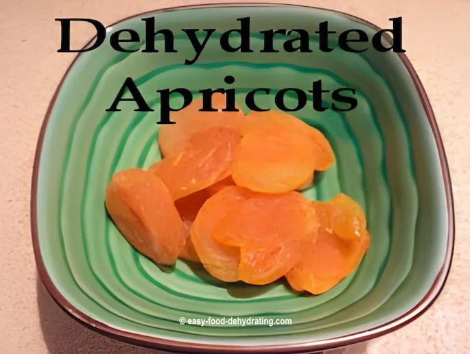 Dehydrated Apricots in a bowl Dehydrated Apricots in a bowl