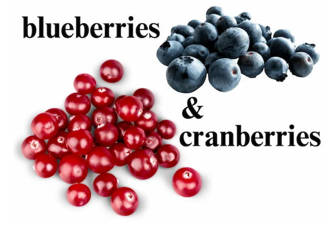 Blueberries and Cranberries in small piles Blueberries and Cranberries in small piles