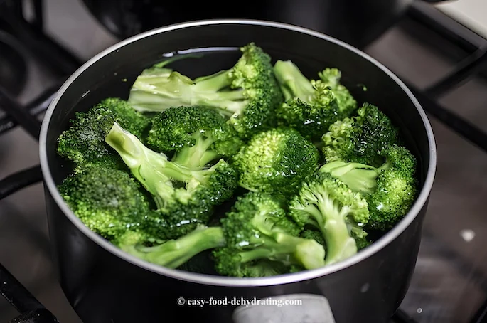 Blanching broccoli in a pan of boiling water before dehydrating