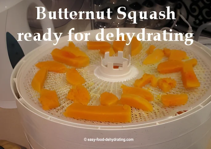 Butternut Squash on a Nesco Dehydrator tray Butternut Squash on a Nesco Dehydrator tray