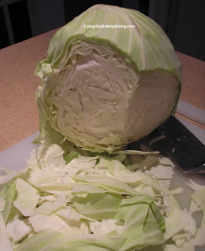 Cabbage being sliced Cabbage being sliced