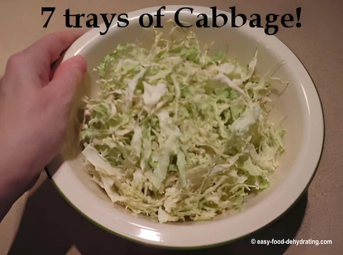 Dehydrated cabbage in bowl showing 7 trays of dried cabbage! Dehydrated cabbage in bowl showing 7 trays of dried cabbage