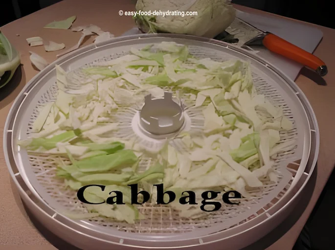 Sliced cabbage on a Nesco dehydrator tray Sliced cabbage on a Nesco dehydrator tray