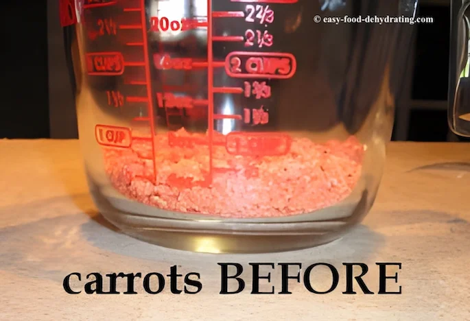 Dehydrated carrots BEFORE rehydrating Dehydrated carrots BEFORE rehydrating