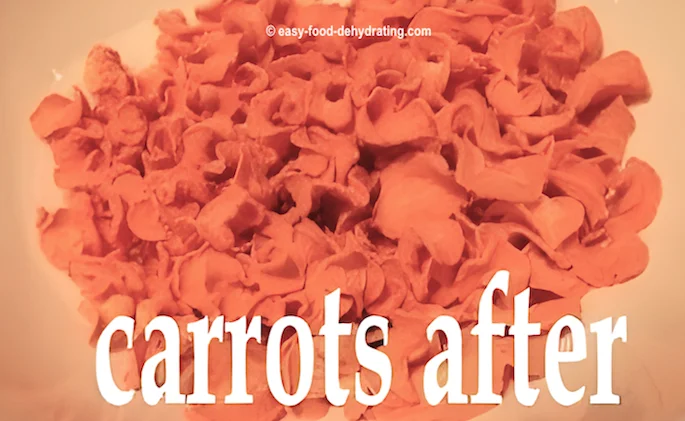 Dehydrated carrots on a Nesco dehydrator tray
