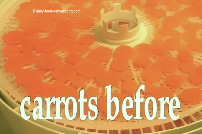Sliced carrots on a Nesco dehydrator tray