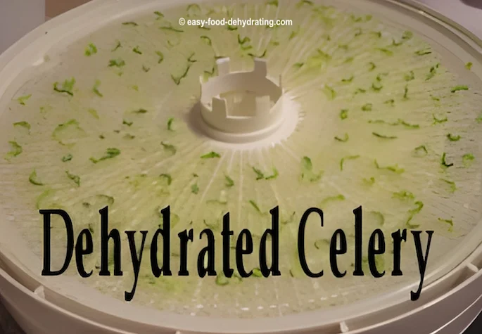 Dehydrated celery on a Nesco dehydrator tray. Dehydrated celery on a Nesco dehydrator tray.