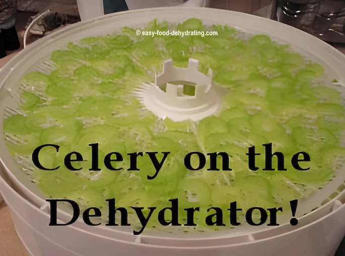 Sliced celery on a Nesco dehydrator tray Sliced celery on a Nesco dehydrator tray