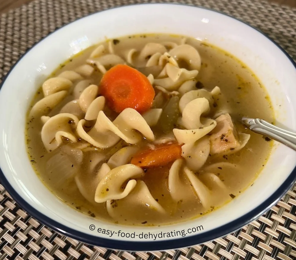 Chicken Noodle Soup in a bowl A hearty bowl of homemade chicken noodle soup - perfect for... any day!