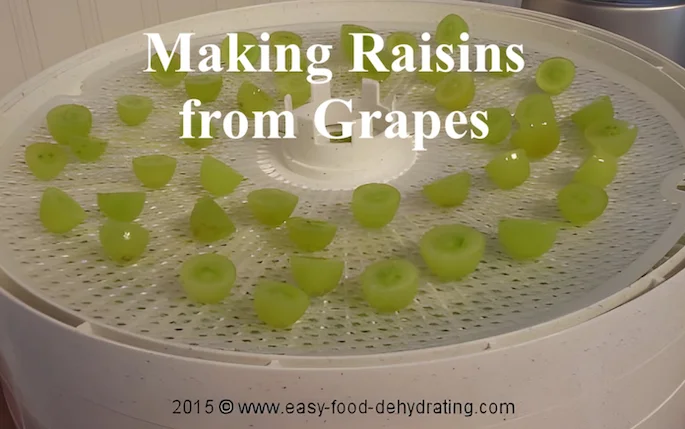 sliced in half green grapes on a Nesco dehydrator