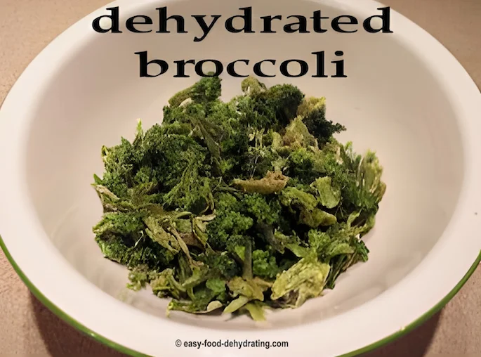 Dehydrated broccoli florets in a round bowl Dehydrated broccoli in a round bowl