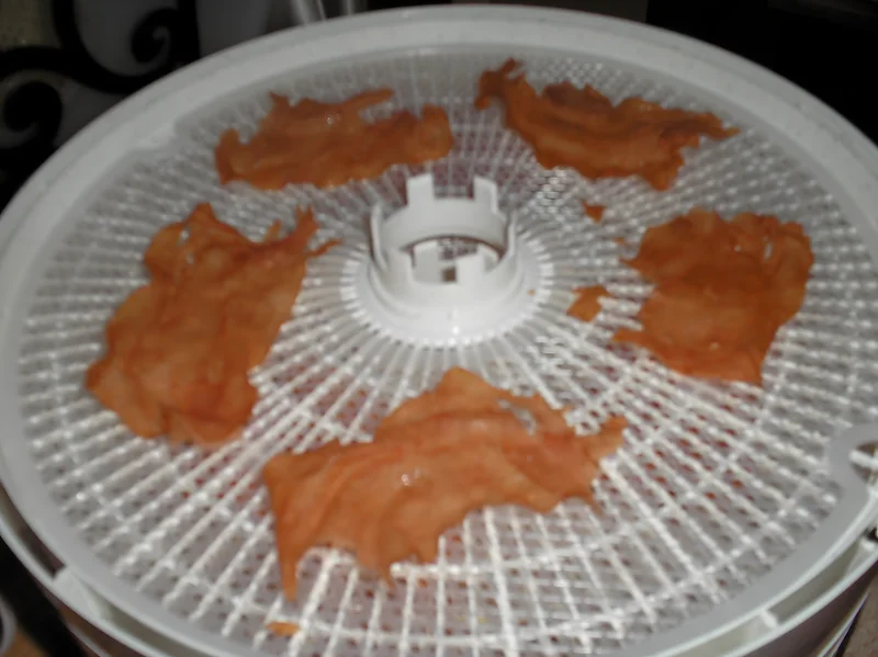 Dehydrated slices of deli turkey arranged on a round white dehydrator tray.