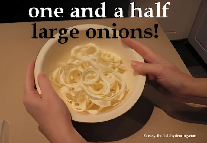 Dried onion rings in a bowl - containing one and a half onions! Dried onion rings in a bowl