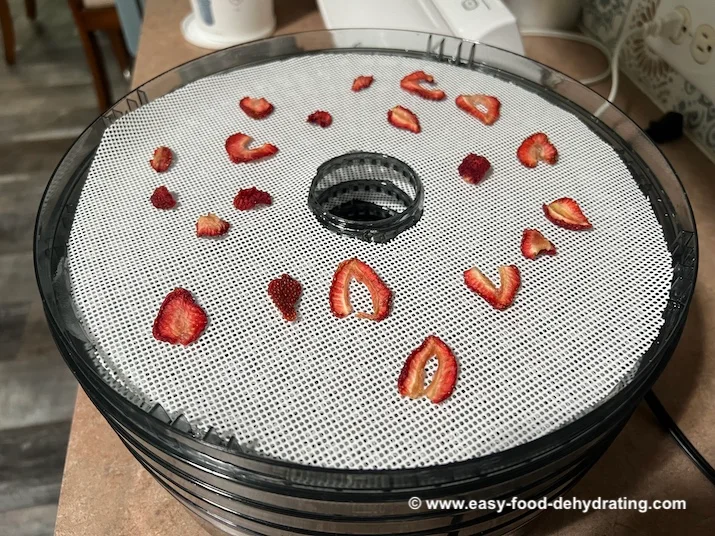 Dried strawberries on Elite Gourmet dehydrator