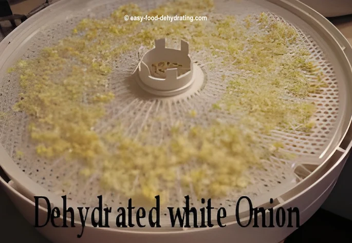 Dehydrated white onion on a Nesco dehydrator tray Dehydrated white onion on a Nesco dehydrator tray