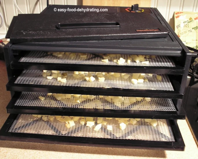 Excalibur with all four trays loaded with frozen hash brown potatoes EXCALIBUR with all four trays loaded with frozen hash brown potatoes