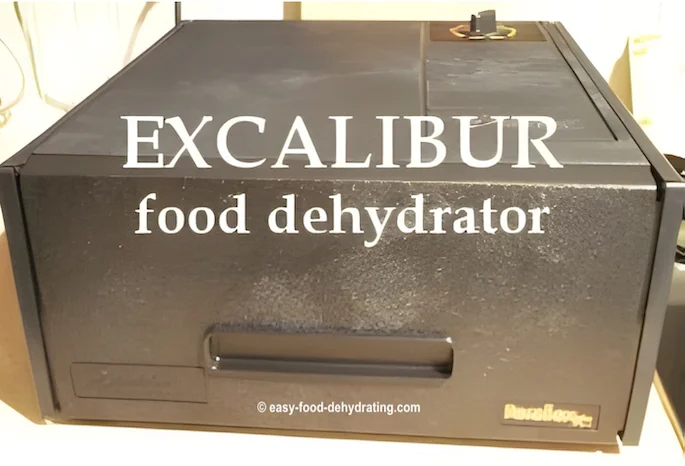 Excalibur food dehydrator - 4-tray starter model, showing the front panel in position. Excalibur food dehydrator - 4-tray starter model