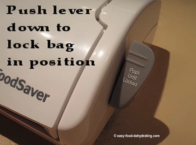 FoodSaver - push the lever down to clamp the bag in place FoodSaver - push the lever down to clamp the bag in place