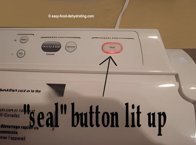 The FoodSaver 'seal button' lit The FoodSaver 'seal button' lit