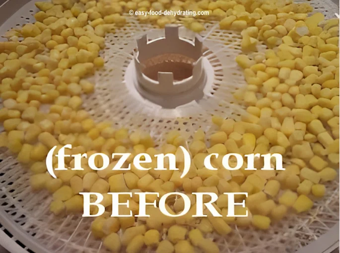 (Frozen but thawed!) loose corn on a Nesco Dehydrator tray