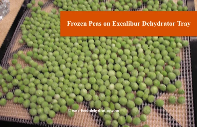 peas ready to dehydrate on an Excalibur dehydrator tray peas ready to dehydrate on an Excalibur dehydrator tray
