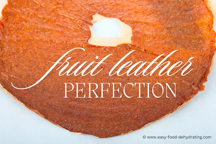fruit leather with words "fruit leather perfection" fruit leather with words "fruit leather perfection"