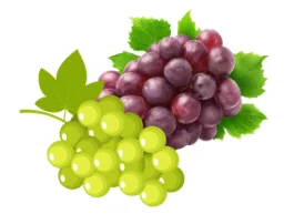 Red and green grape clusters with leaves