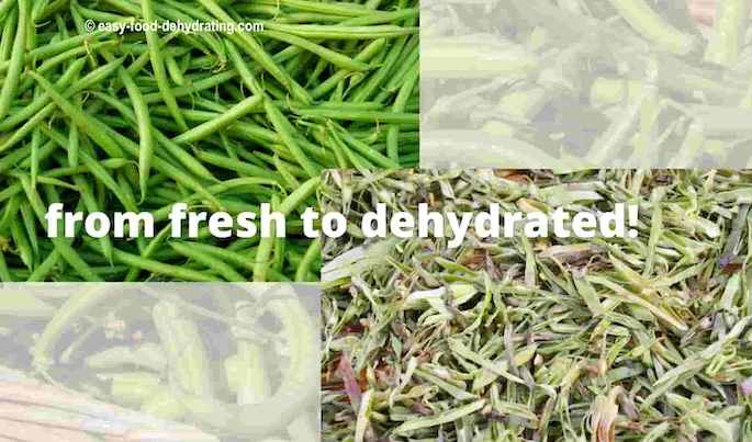 string beans before and after dehydrating