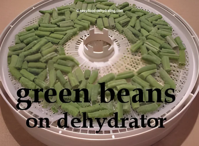 green beans on a Nesco dehydrator tray