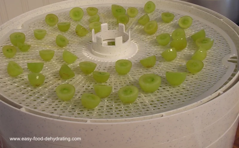 Sliced green grapes on a Nesco dehydrator