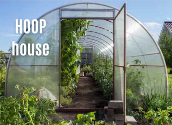 hoop-style greenhouse hoop-style greenhouse